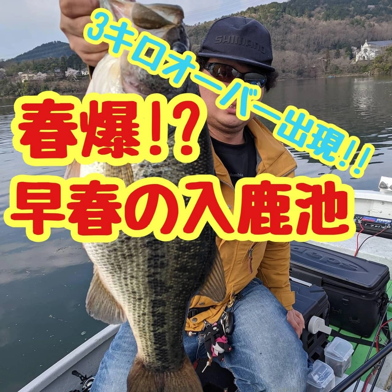 【イシグロ半田店】【入鹿池】春爆!!入鹿池産3キロオーバーのビッグモンスター出現!!