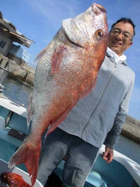 いつもの常連様は乗っ込み初春デカ真鯛を釣り上げましたよッ(°▽°)‼︎