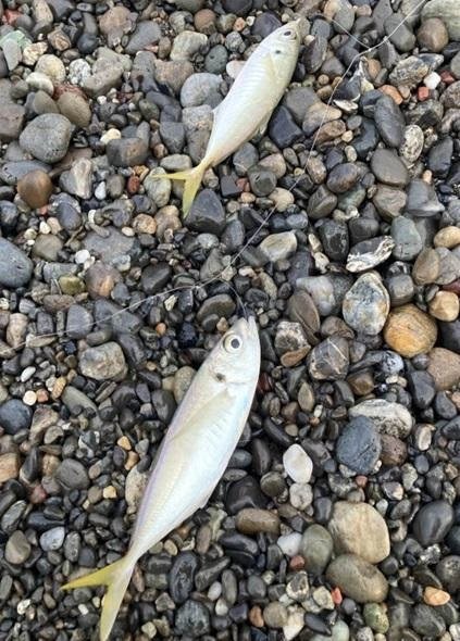 ダブルヒットもありました。