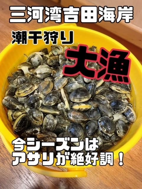 ６月上旬まで開催予定なのでアサリ好き方は是非!