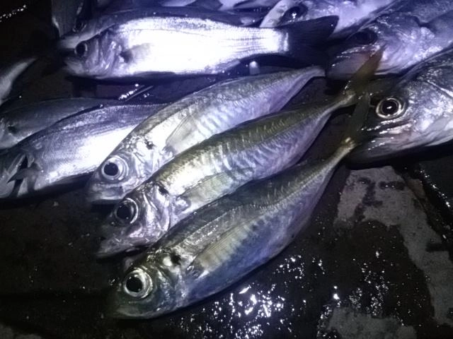 でかめ