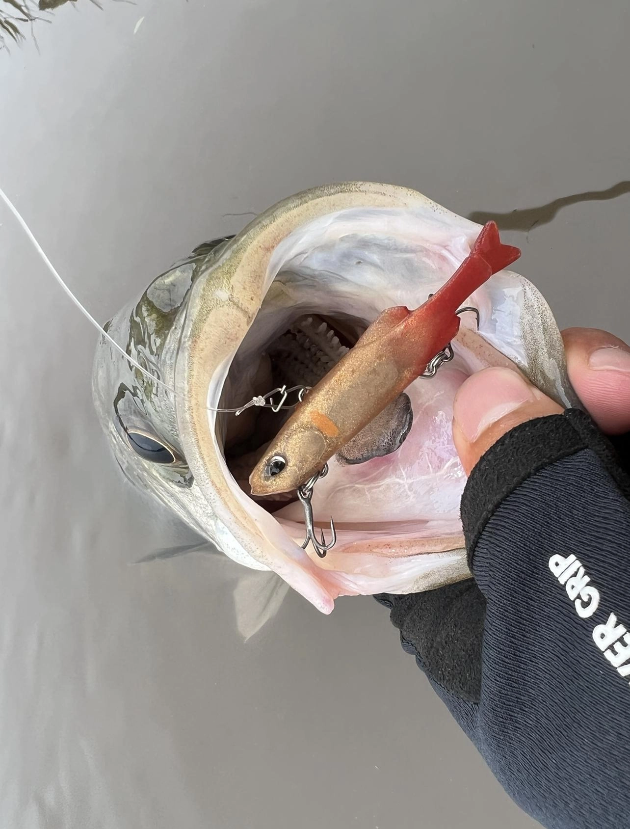 ノマセ小魚ミニをばっくり！