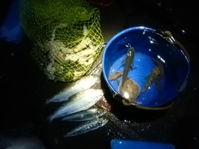 大漁