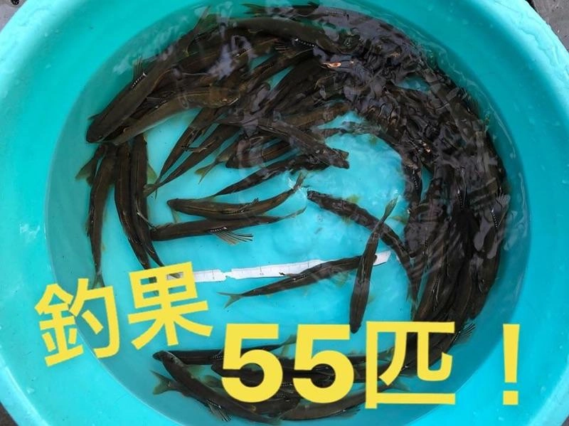 小型主体でしたが楽しめました！