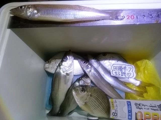 新記録
