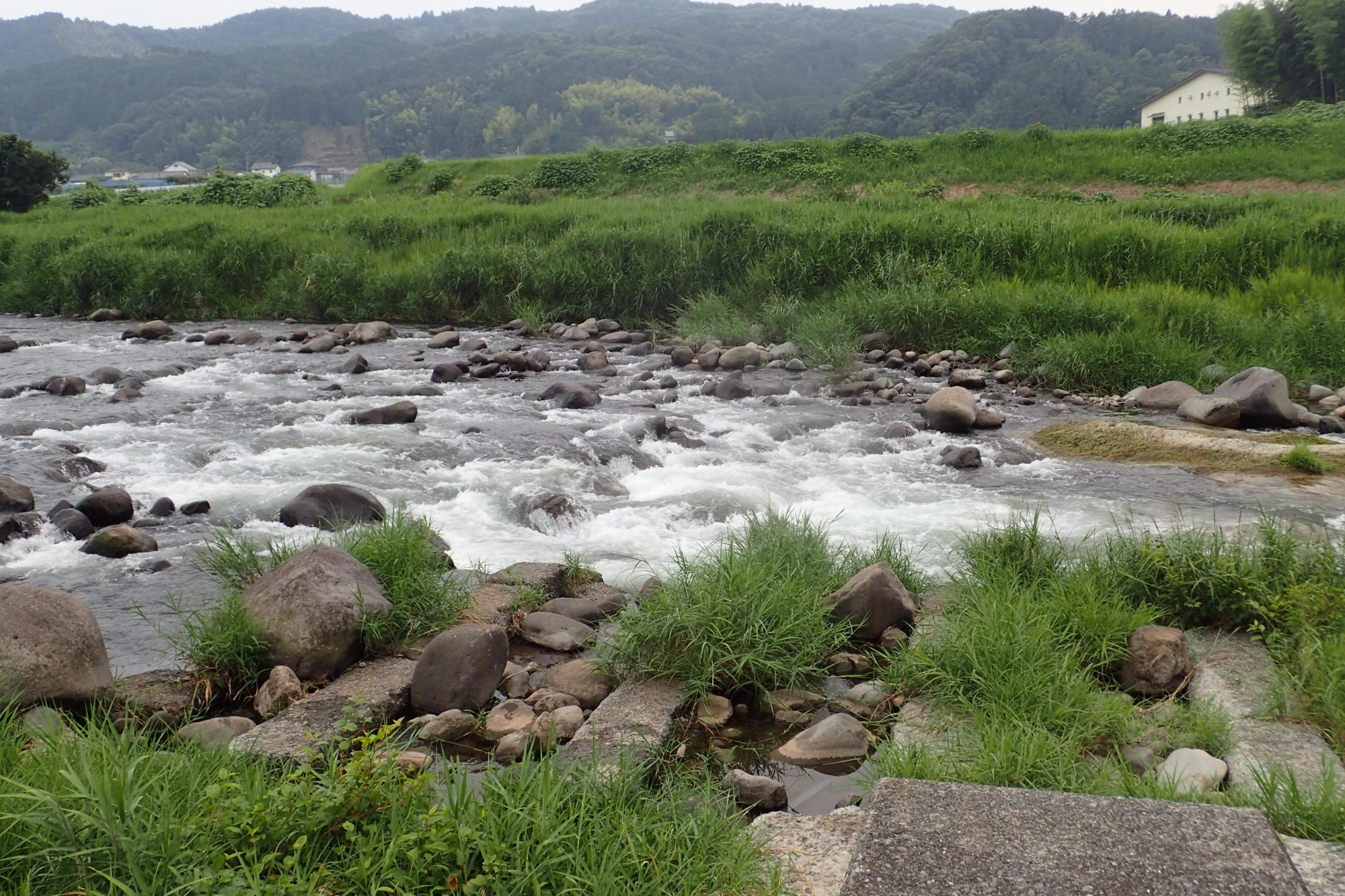 好鱗前、荒瀬やトロなど変化に富む川相で良い釣場です。