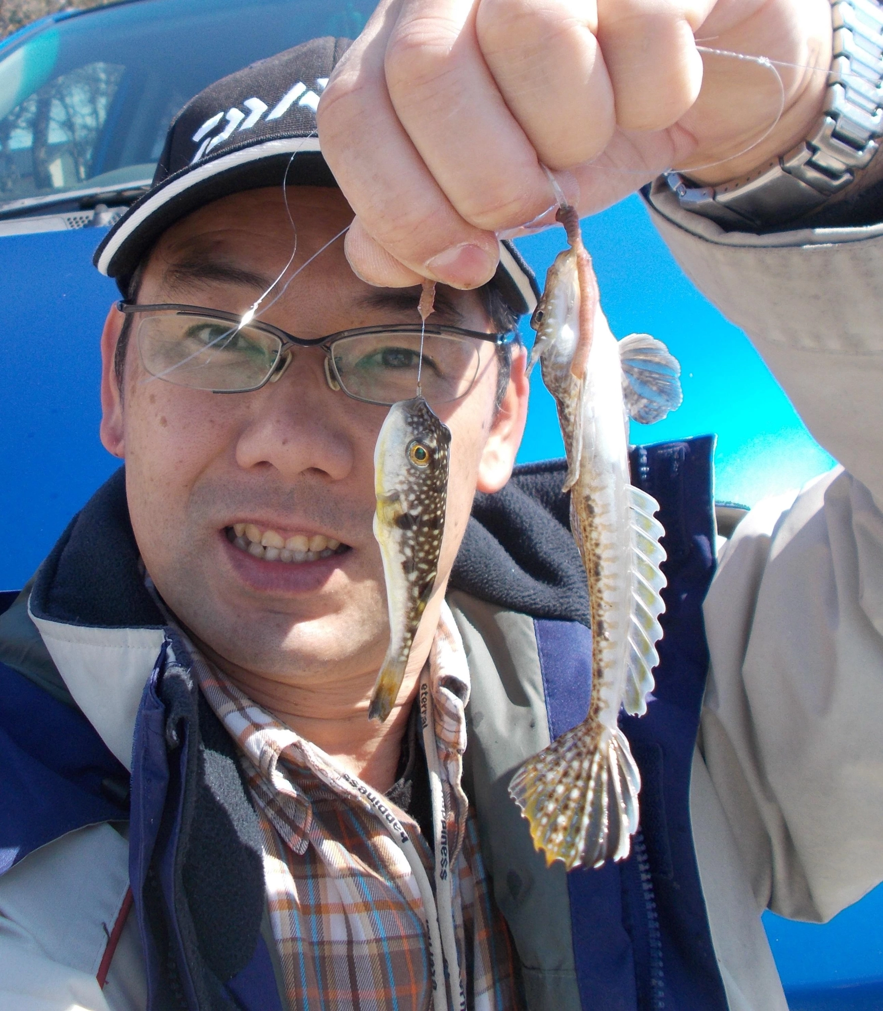 キス以外にもメゴチやヒイラギも釣れてきます。とにかくアタリが出るのは嬉しいですね。