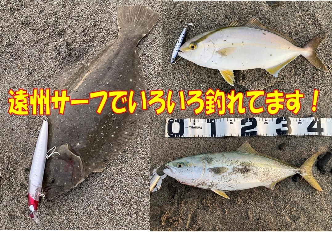 遠州サーフが盛りがってきました！