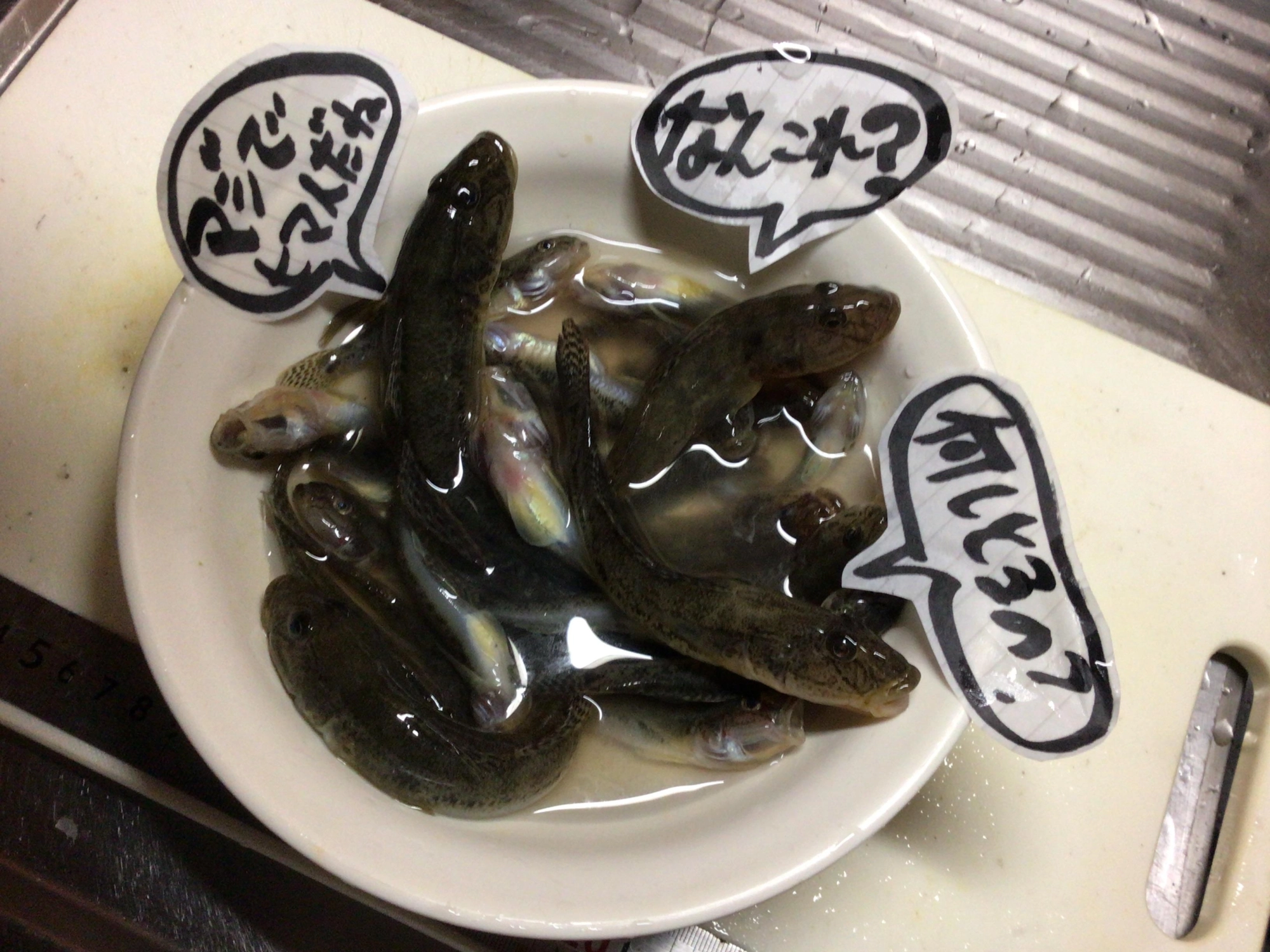 ハゼどんぶり一丁❗️❗️❗️