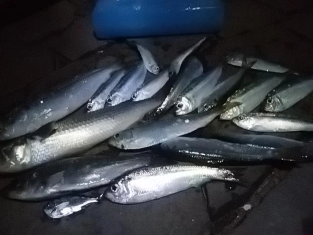 恵みに感謝