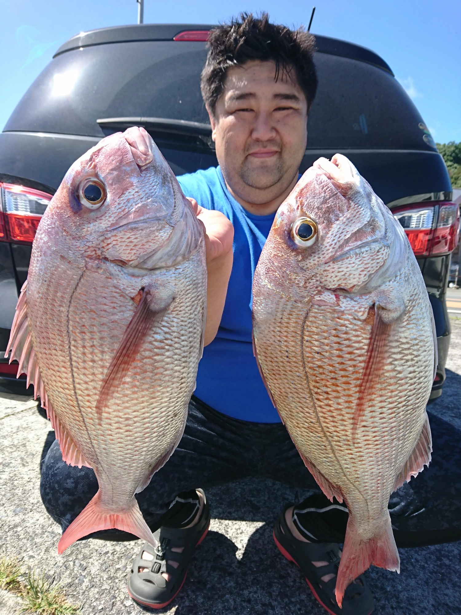 マダイは２匹の釣果でした。
