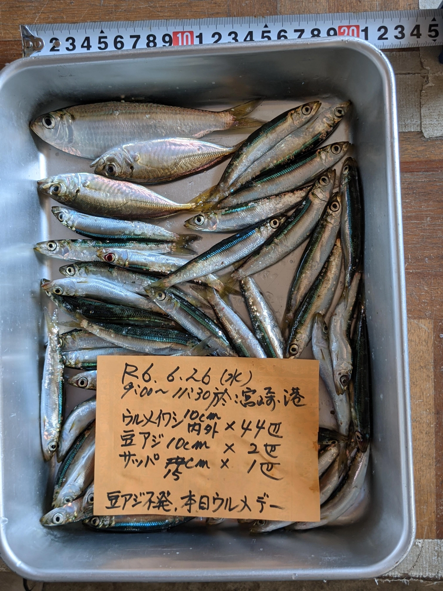 豆は今年はダメか
苦潮後の影響もあるか