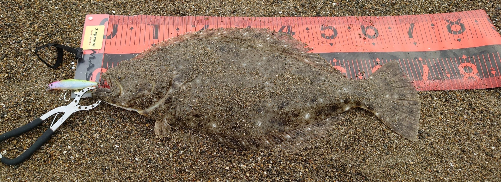 バスデイの玉砕97Fに食い上げバイト