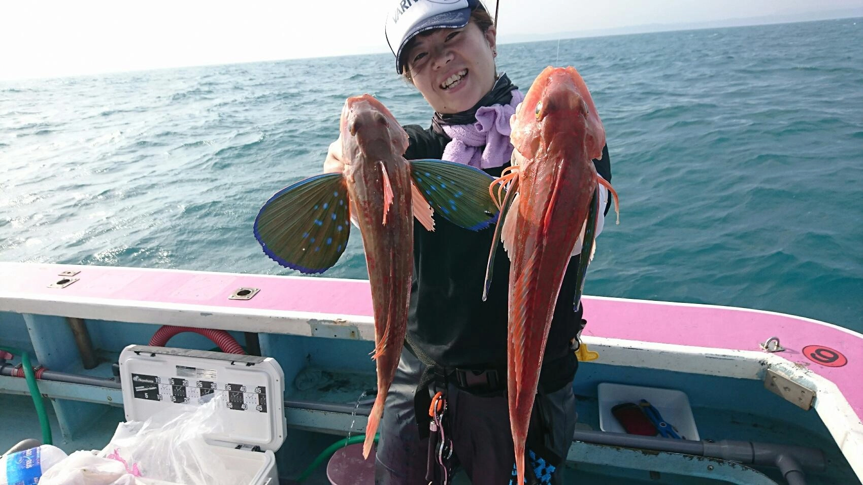 ホウボウも！ボーズレス トウキチロウ50ｇグローでHIT！