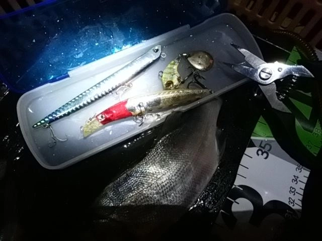 ルアーですよ
