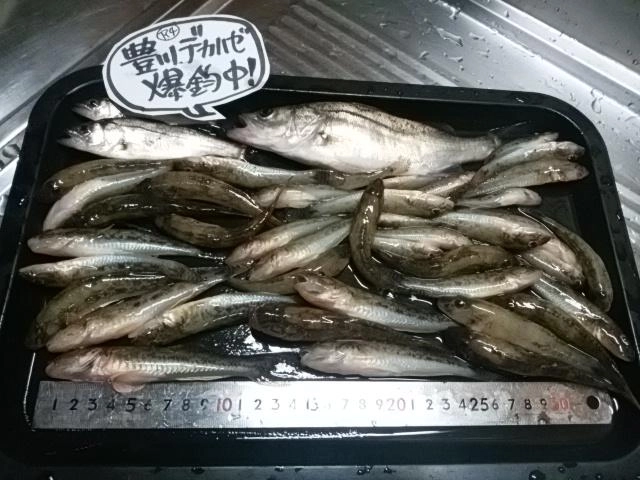 恵みに感謝。
