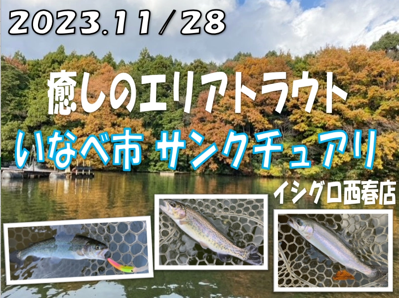 2023.11/28　紅葉が見ごろ！癒しのエリアトラウト　サンクチュアリへ行ってきました♪