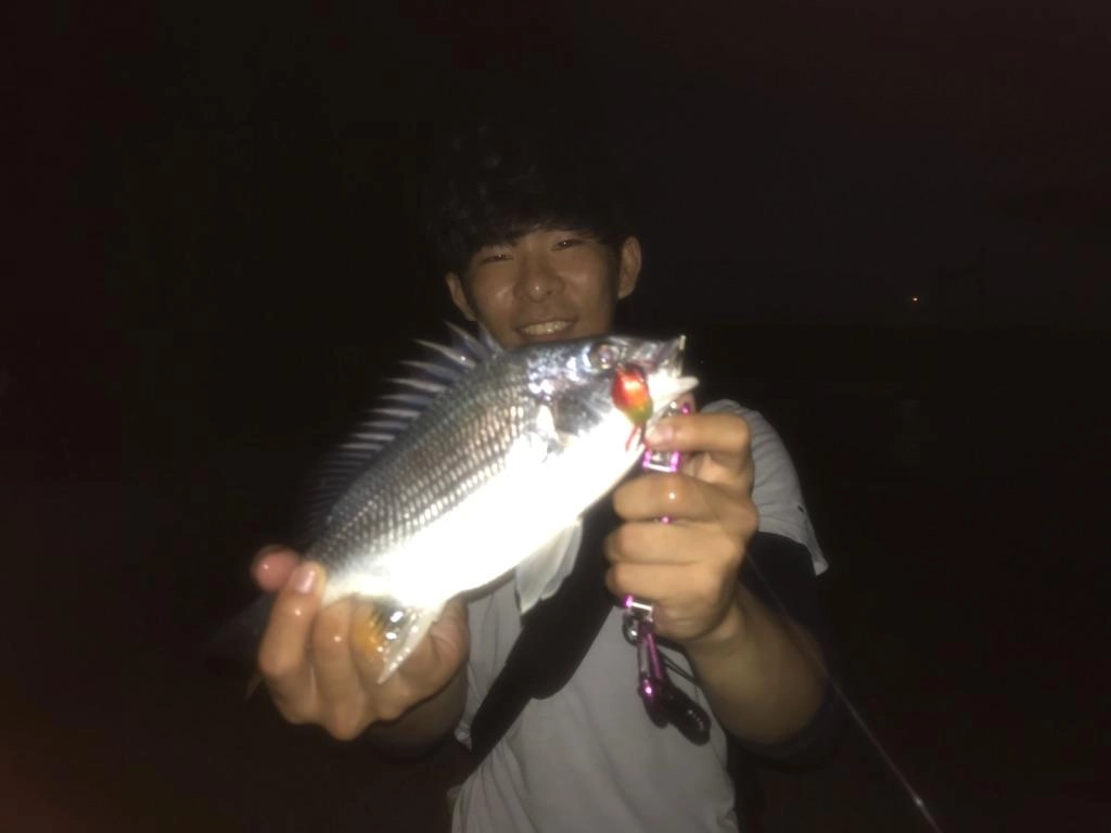 暗くなるとボトムズル引きでキビレっ