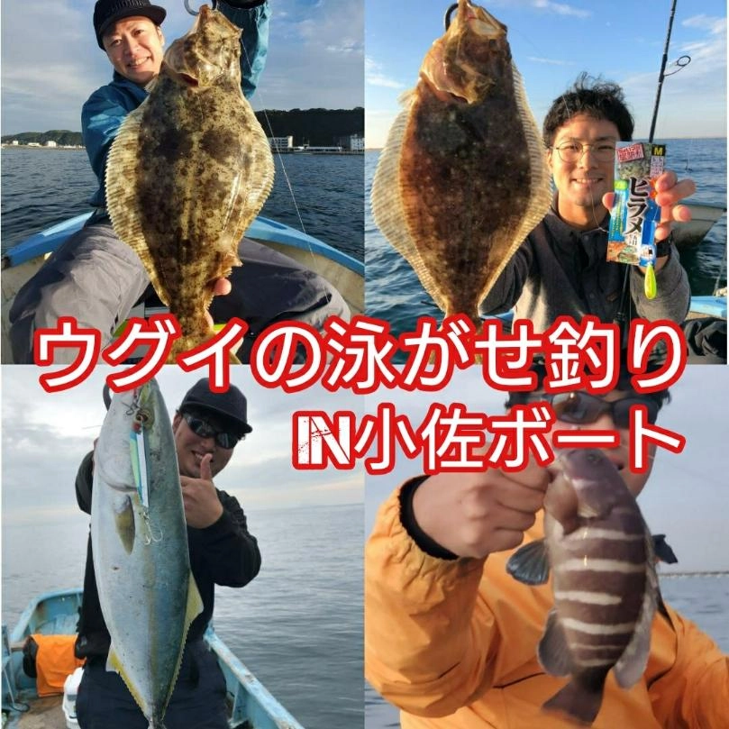 活きウグイの泳がせ釣り絶好調です！！これからのヒラメの泳がせ釣りに活きウグイを是非！！