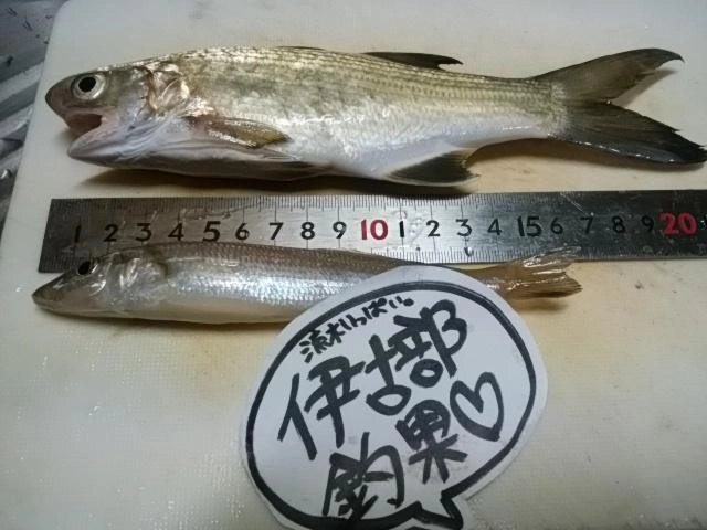 地味かな