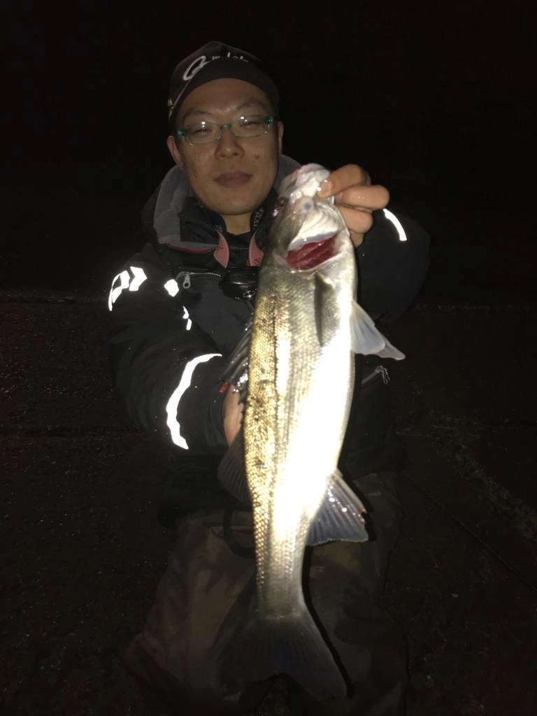 明暗部でヒット！