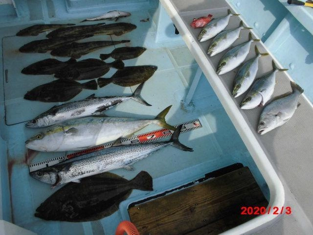 肉厚良型ビラメ、旨いらしいサワラ、マルやハマチ、マゴチに多種多彩ッ(о´∀`о)