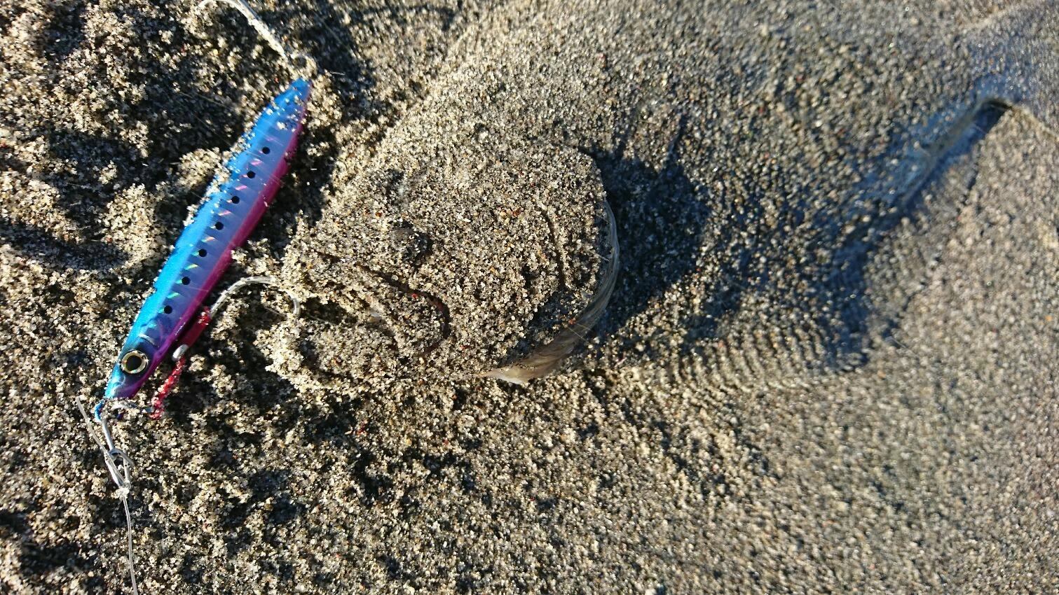 イワシロケット表層をトゥイッチング！そうしたら・・・下から食い上げて来ました！