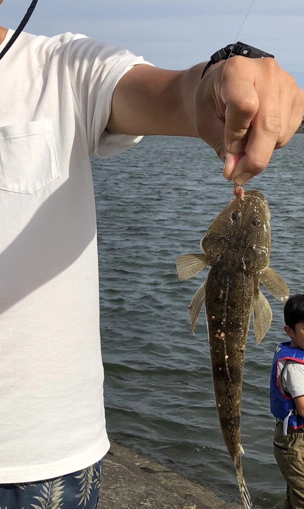 マゴチGET♪清洲公園でマゴチ・・・ハゼを泳がせてマゴチ釣れるかも・・・?