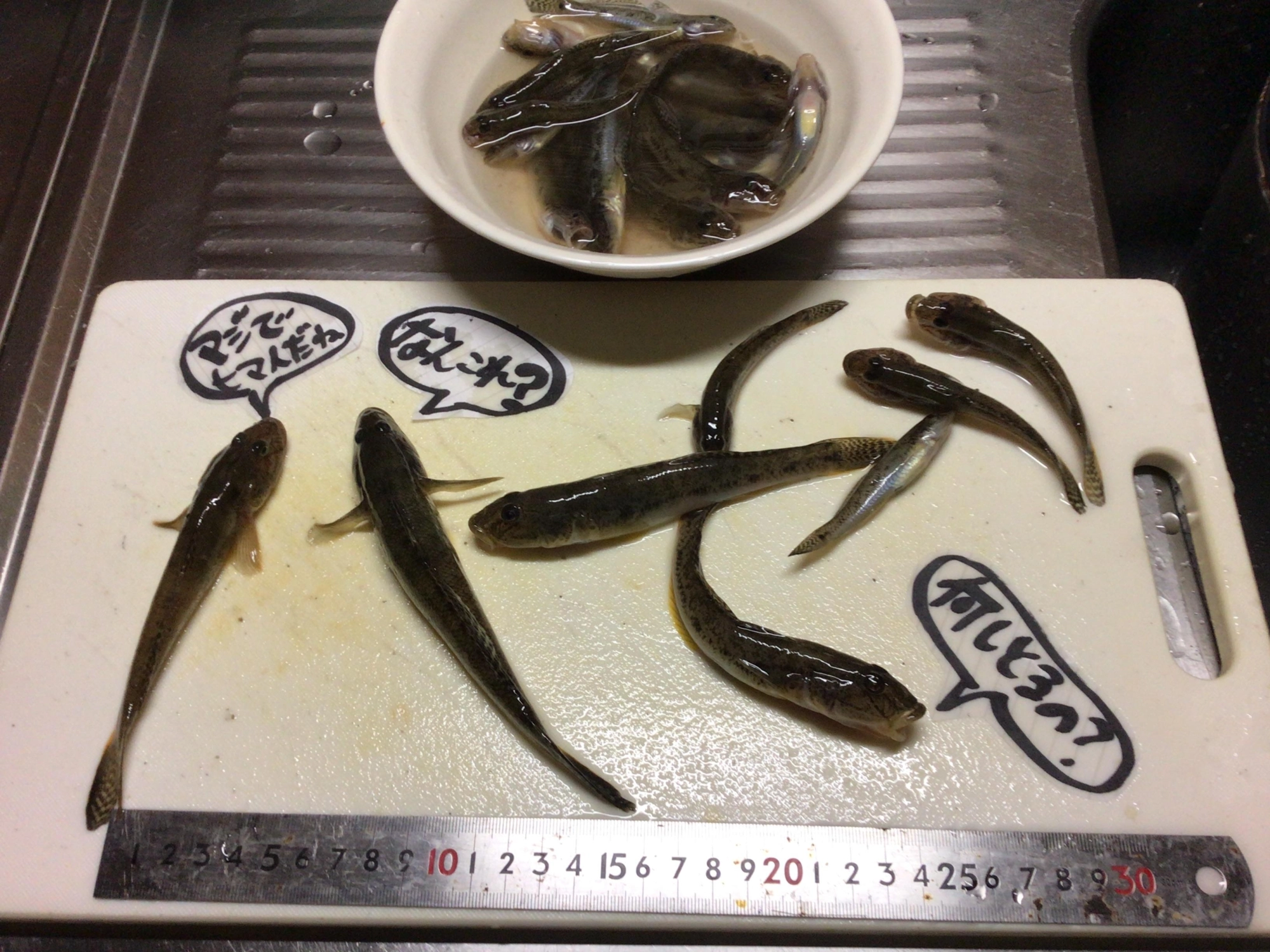 釣果はグッドデス❗️