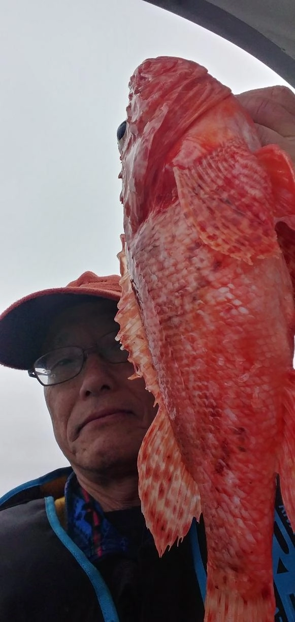 浜名湖鷲津マリーナ出船黒船屋様にてオニカサゴ釣り行って来ました！