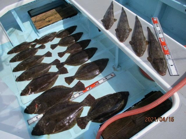 海底は初春ビラメ、デカマゴチの絨毯ッ٩( ᐛ )و⁈
