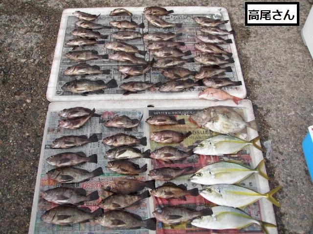シマアジがおいしそう！