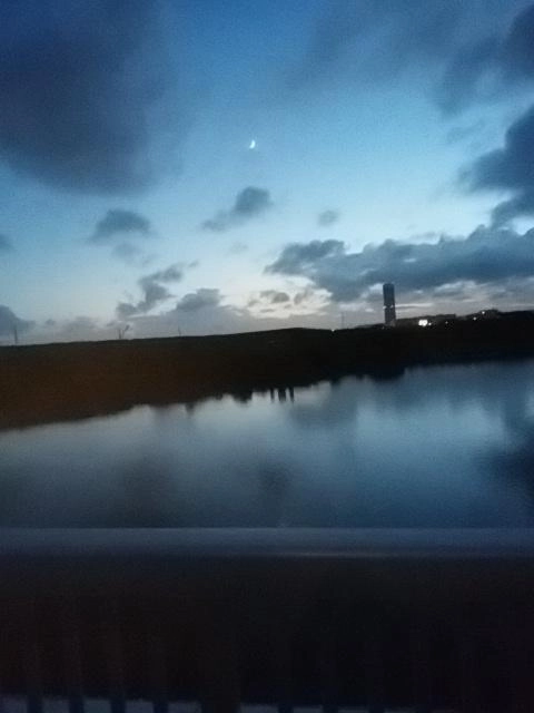 星に願いを。