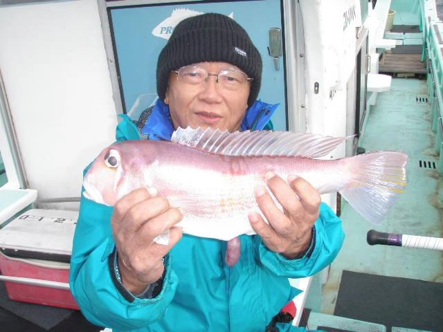 お客様　北さん　良型アマダイ！