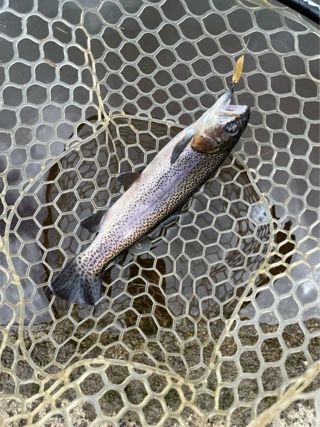 25ｃｍ～40ｃｍ超の大物も釣れます！