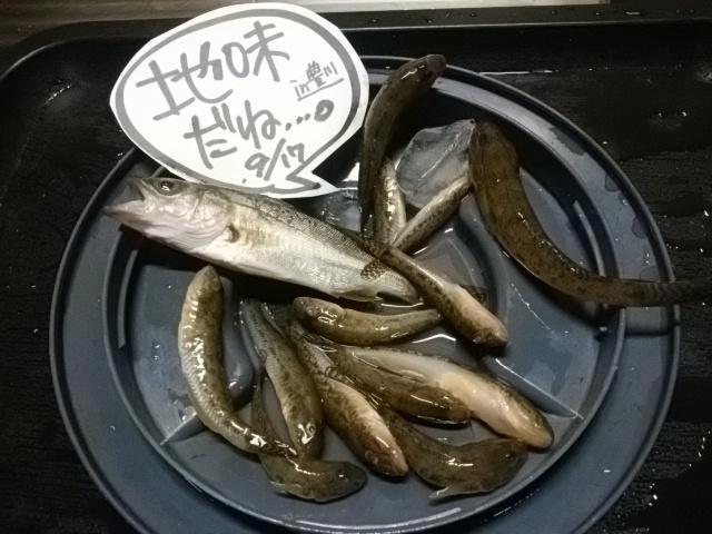 恵みに感謝！