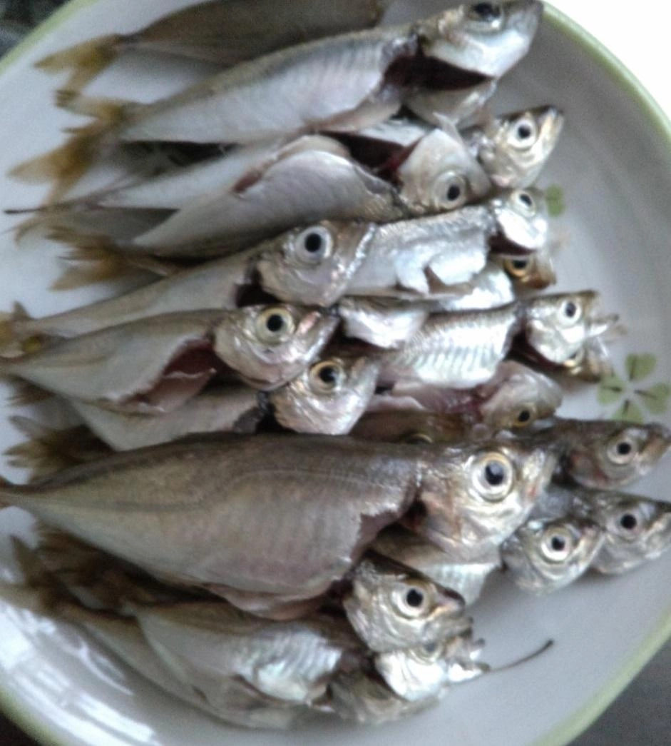 釣れたアジはおなかを出してから揚げに、いくらでも食べれちゃう♪