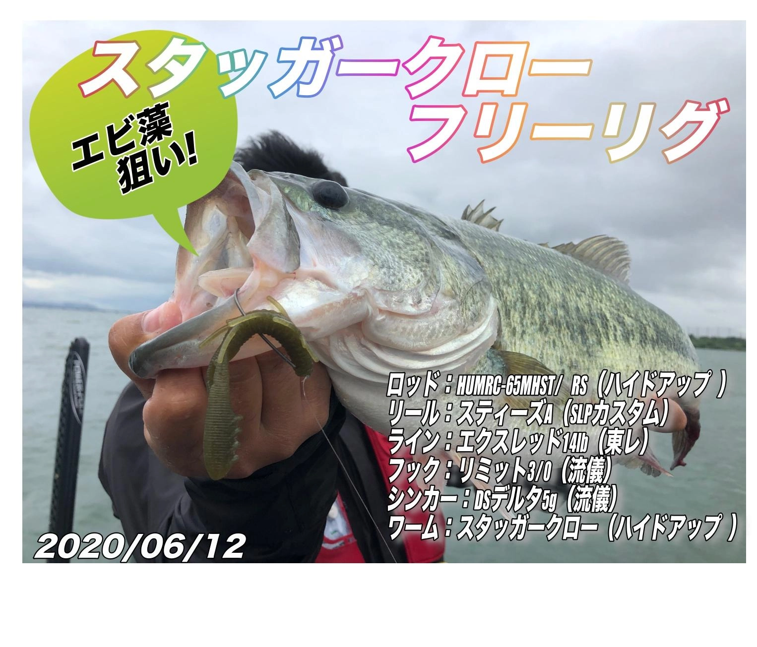 タックルはこちら！ロッドは発売になったレッドシグネイツアーの65MHSTを使用！