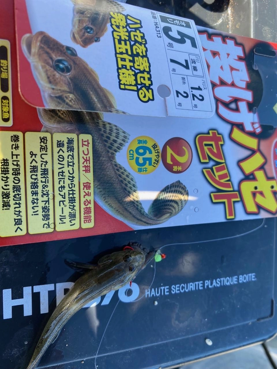 ハゼちょい投げ仕掛けがオススメ！20Mぐらいなげてゆーくり誘ってきました♪