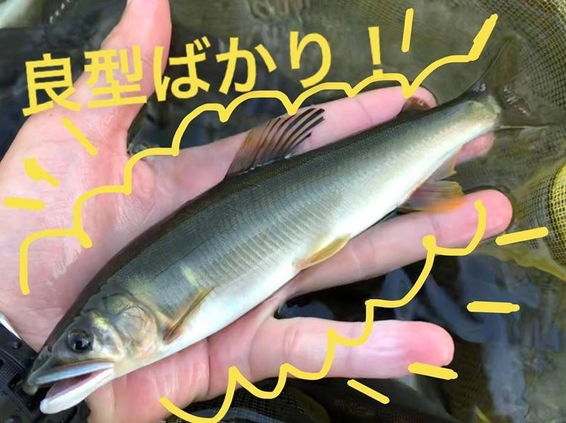 少しずつ体高も出て来ました！