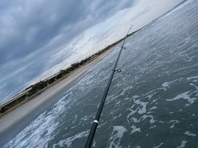 海が好き