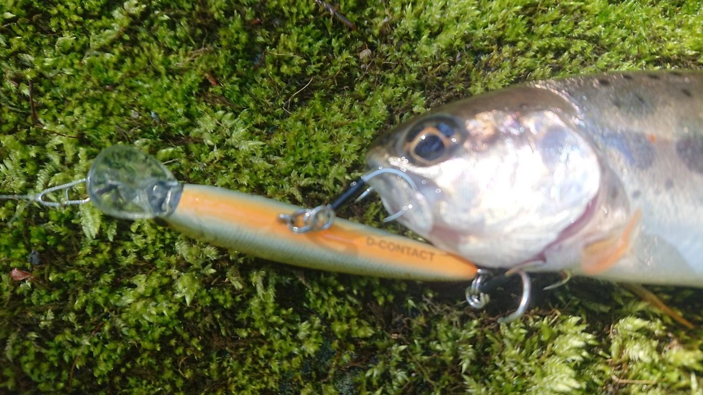 ツインフックにチェンジすると水中の藻の引っ掛かりを抑えられ、魚のバラシも激減です！
