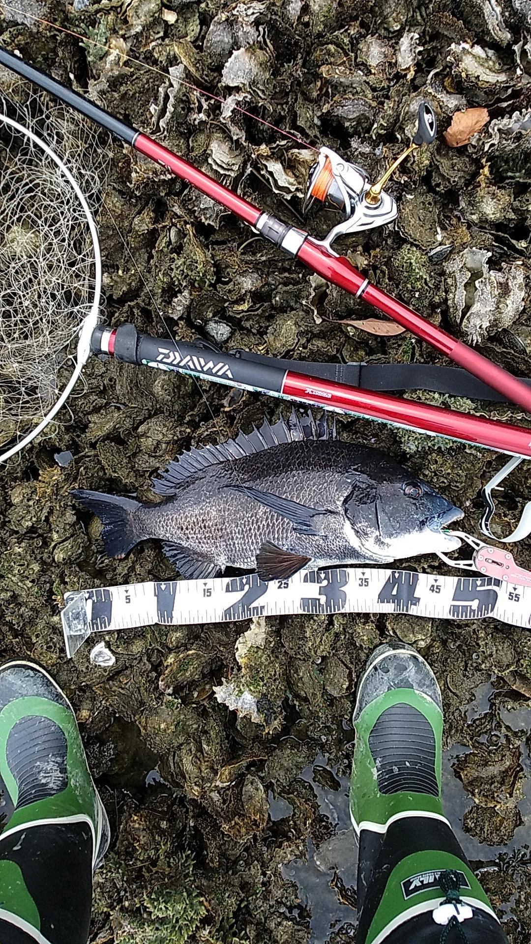 開始1時間で釣れた。しかし次の魚をバラしたら全くアタリが無くなった！