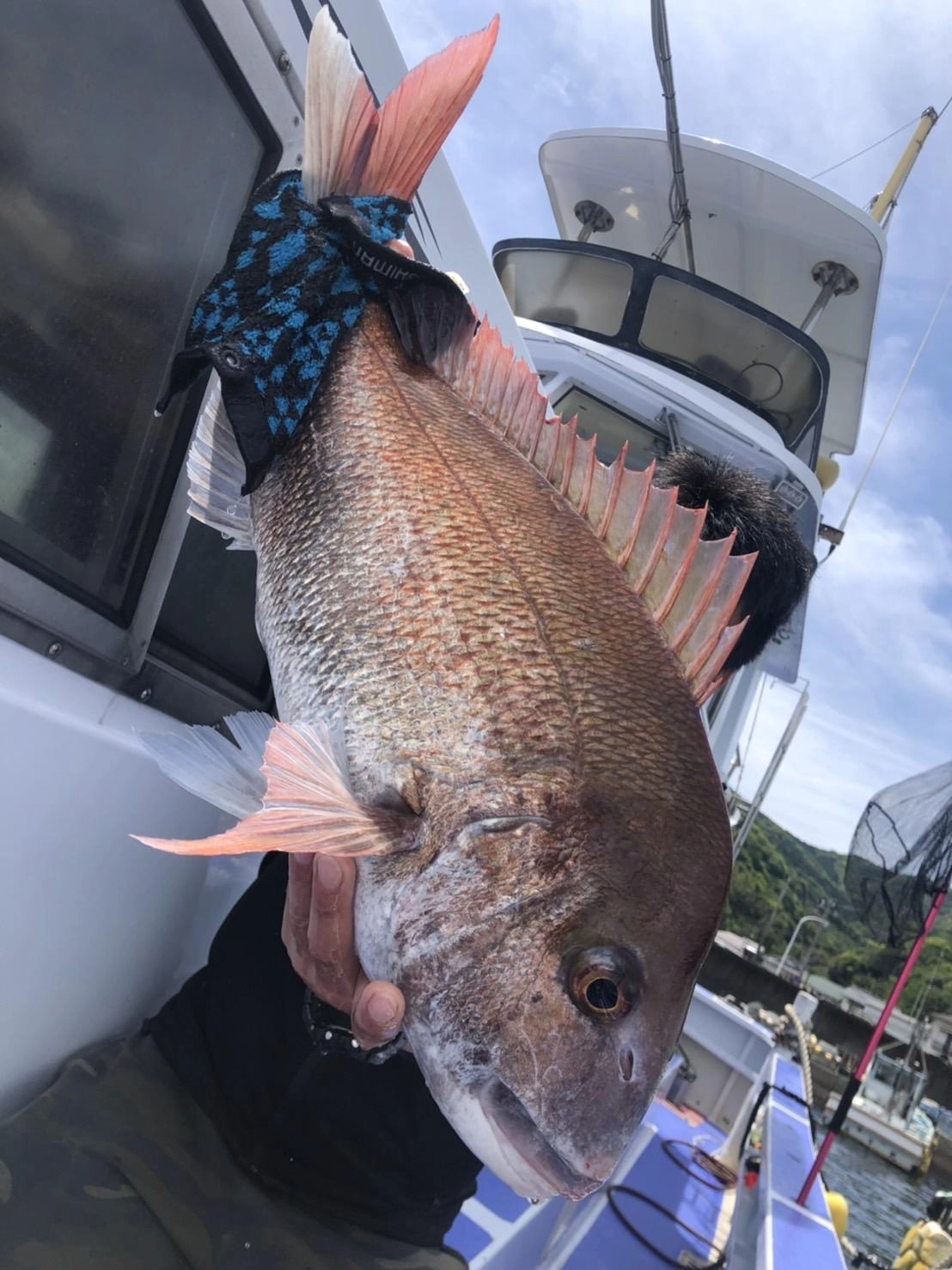 本日最大のマダイは4.2kg！後半のラストで大型のマダイが上がりました！