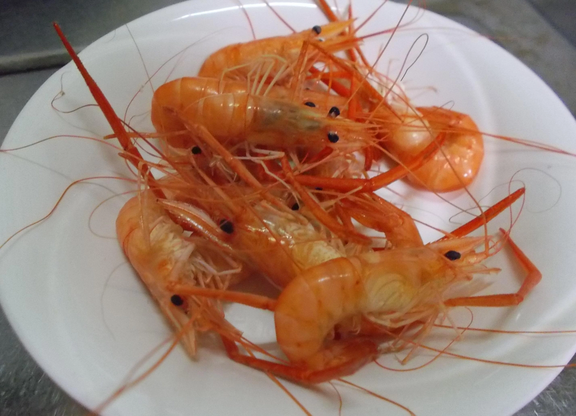 釣れたエビは半日程活かして泥を吐かせてから素揚げでバリバリもいいけどもコンロ周りに油が飛び散り怒られるので（汗）今回は塩ゆでで頂きました。