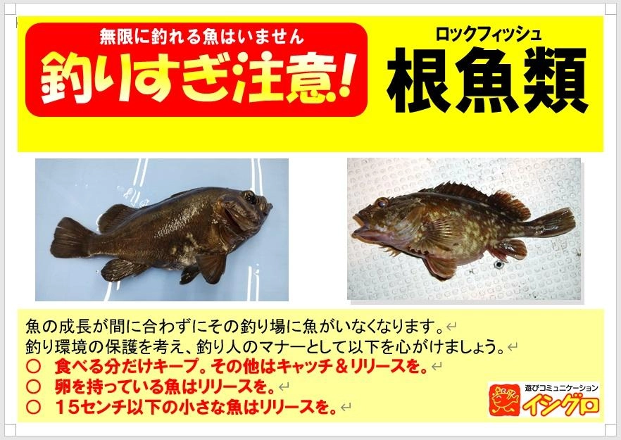 根魚は釣り過ぎるといなくなってしまうので釣りを楽しんだ後はリリースのご協力をおねがいします