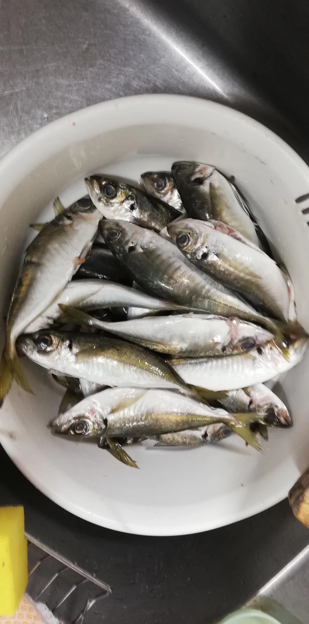 お裾分けと食べる分のみ