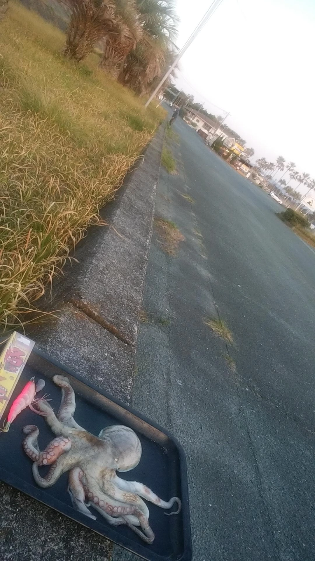 嬉しい悲鳴♪