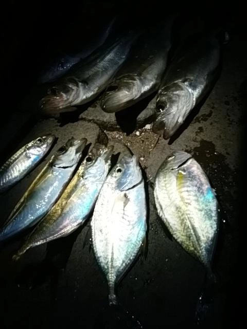 恵みに感謝。