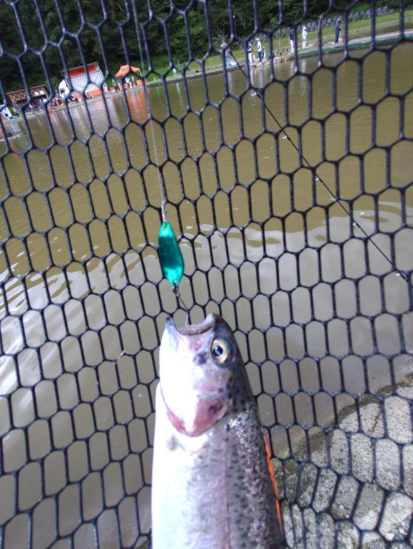 バグ

波動が強いので、濁りの中でも魚を呼びます。